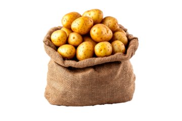 Burlap sack of potatoes isolated on transparent background