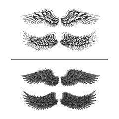 set of vector wings – wings vector – Elegant Black and White Angel Wings Illustration – Detailed Feathered Wings