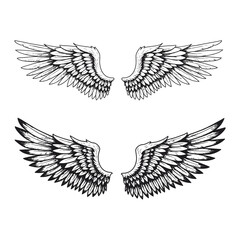 set of vector wings – wings vector – Elegant Black and White Angel Wings Illustration – Detailed Feathered Wings