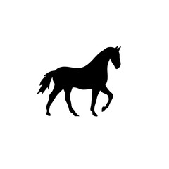 Horse collection vector silhouette
