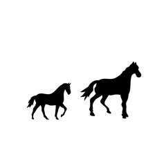 Horse collection vector silhouette
