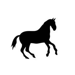 Obraz premium Horse collection vector silhouette 