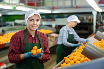 Portrait of cheerful young girl sorting ripe orange mandarins on conveyor line of factory for processing agricultural produce © JackF