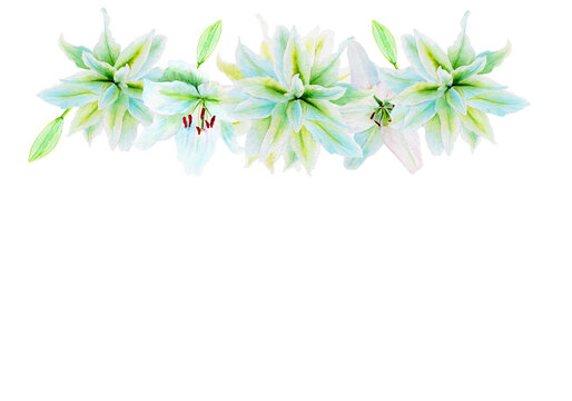 White lily flower garland watercolor illustration isolated on white. High quality clip art perfect for cards, posters, stickers, Easter, Passover, Holy Thursday, christening baptism wedding church