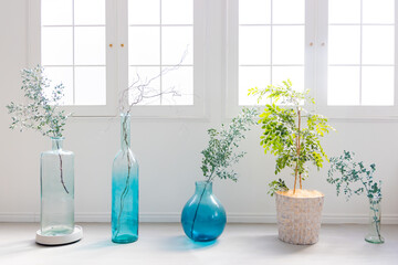 リビング　観葉植物　インテリア
