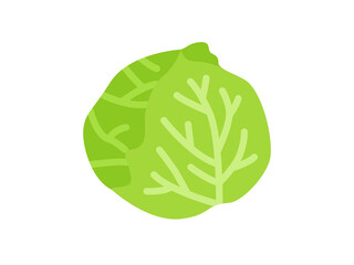キャベツのアイコンのイラスト