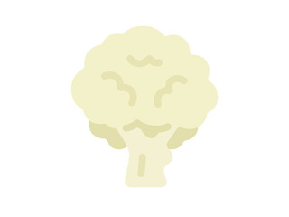 カリフラワーのアイコンのイラスト