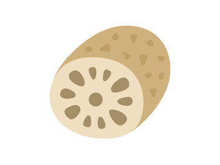 レンコンのアイコンのイラスト