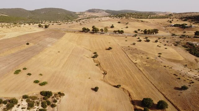 Wheat field in the countryside, during summer harvest season in the hills of Beja in the north of Tunisia.