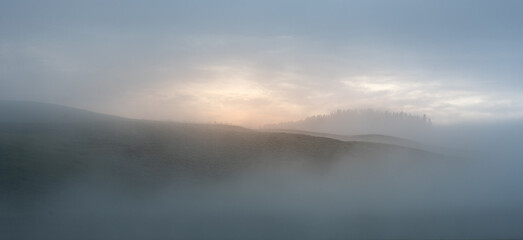 Faint Color Of Sunrise Over Foggy Hayden Valley
