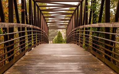 wooden bridge in the forest