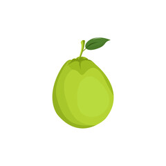 guava vector illustration, 
