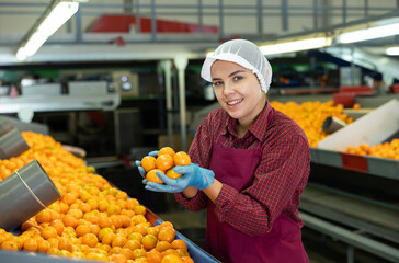 Glad positive cheerful female worker on citrus sorting line at warehouse. Checking quality of tangerines.
