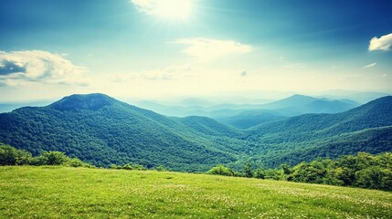 Obraz premium Sunny mountain meadow landscape, scenic view, summer day