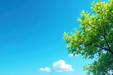 Fototapeta premium Bright azure sky, small white cloud, delicate tree branch silhouette , light, wood