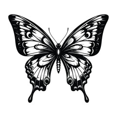 Black and White Butterfly Silhouette with Intricate Wing Patterns