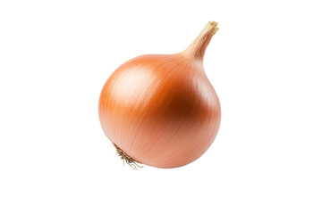 Large, unpeeled onion is sitting on a white background, isolated