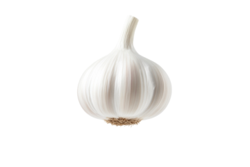 White garlic bulb with a pointed end, isolated