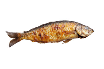 Fish is sitting on a white background, isolated