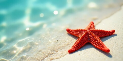 Vibrant red starfish on pale sand, sunlit shallows, sea, clear water