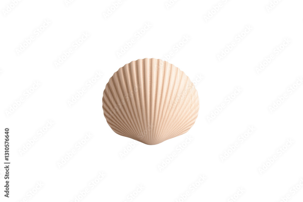 Poster white background with a tan shell on it, isolated