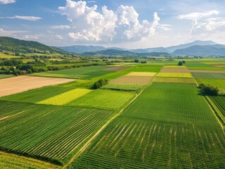 Fototapeta premium Aerial view of vibrant agricultural fields under a bright blue sky.