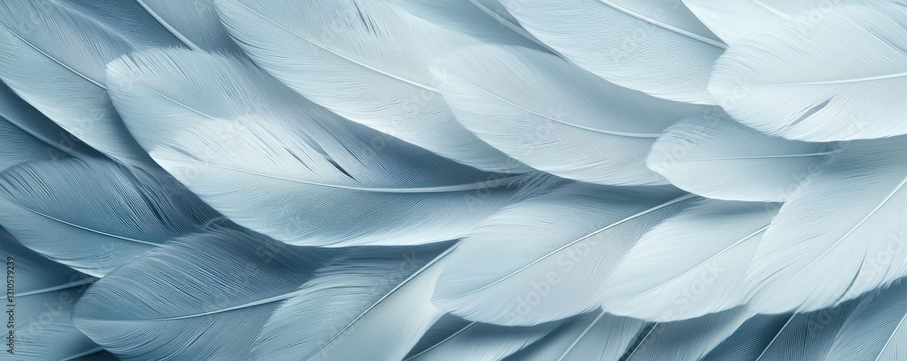 Poster delicate blue feathers create a soft and calming background texture for various designs.
