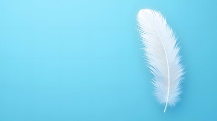 White feathers on blue background
