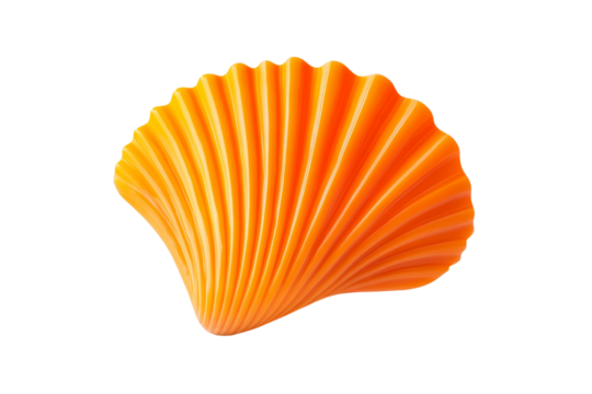 Large orange shell with a white background, isolated