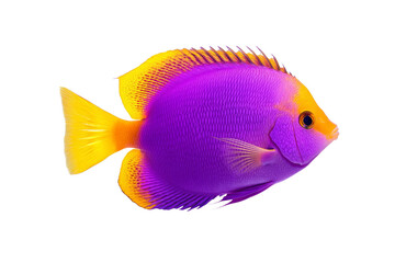 Naklejka premium Fish with a yellow tail and a pink body, isolated