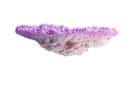Pink rock with a white background, isolated