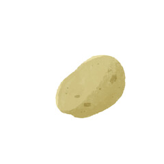 じゃがいものシンプルな手描きカラーイラスト
