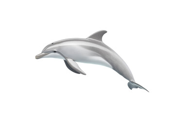 Dolphin is flying in the air, isolated