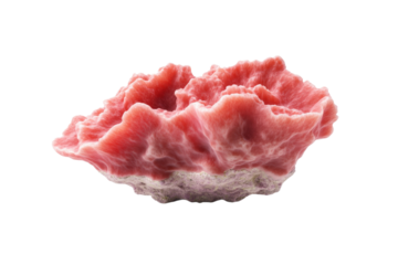 Pink coral shaped rock sits on a white background, isolated