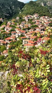 Village of Stemnitsa