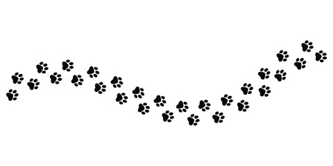 Paw footprint footsteps vector design