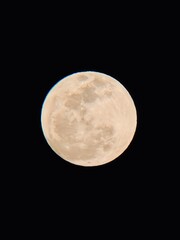 A Striking Close-Up of the Cratered Full Moon Against a Deep Black Night Sky