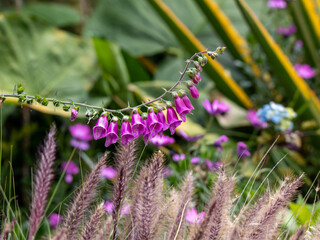 Flowers park natural