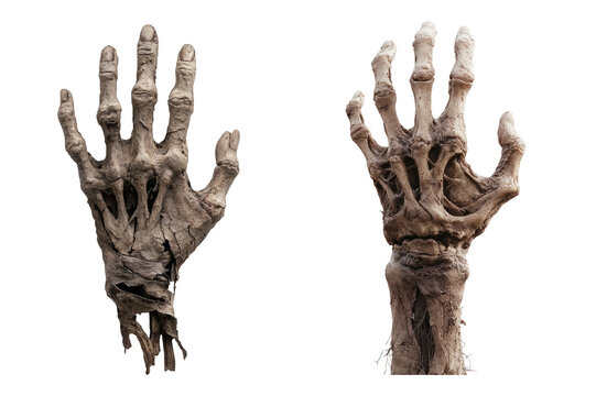 two creepy skeleton hands isolated on transparent background	
