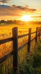 Obraz premium Serene Sunset Over Golden Wheat Fields in a Rural Setting
