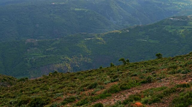 Seulo, Sardinia mountain view on village at sunset dusk in Italy, beautiful scenic landscape in Mediterranean region of longevity blue zone