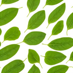 Obraz premium Green Leaves Pattern, Nature Background