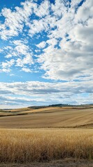 Fototapeta premium Vibrant Rural Panorama of Wheat Fields Meeting the Sky