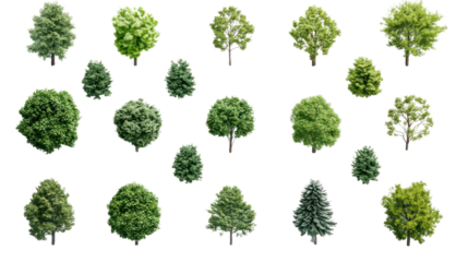 A collection of various green trees isolated on a white background.