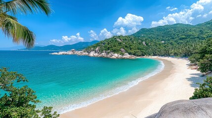 Fototapeta premium Serene Tropical Beach with Clear Blue Waters
