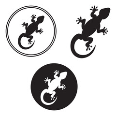 lizard on a white background vector