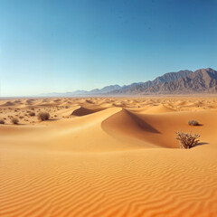 Endless Sand Dunes in Desert Landscape with Mountain Backdrop