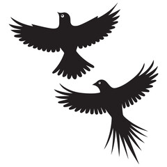 Bird vector illustration on white background