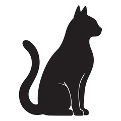 black cat on white
