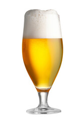 Glass of fresh beer with foam isolated on white